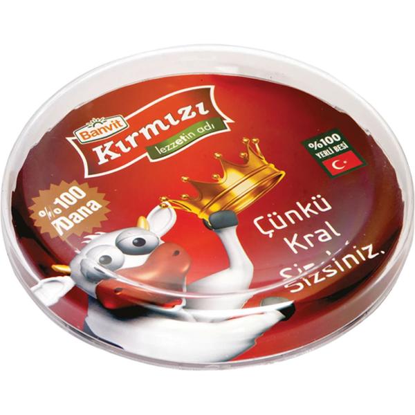 PT-1955 Yuvarlak Para Tabağı